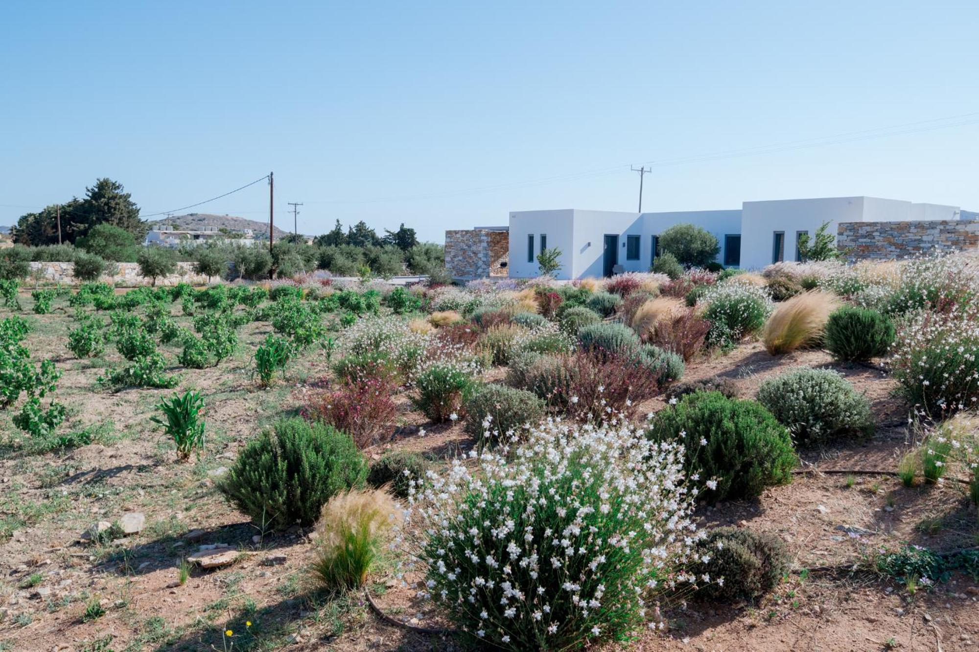 Bracket House Paros Villa Dhragoulas Екстериор снимка